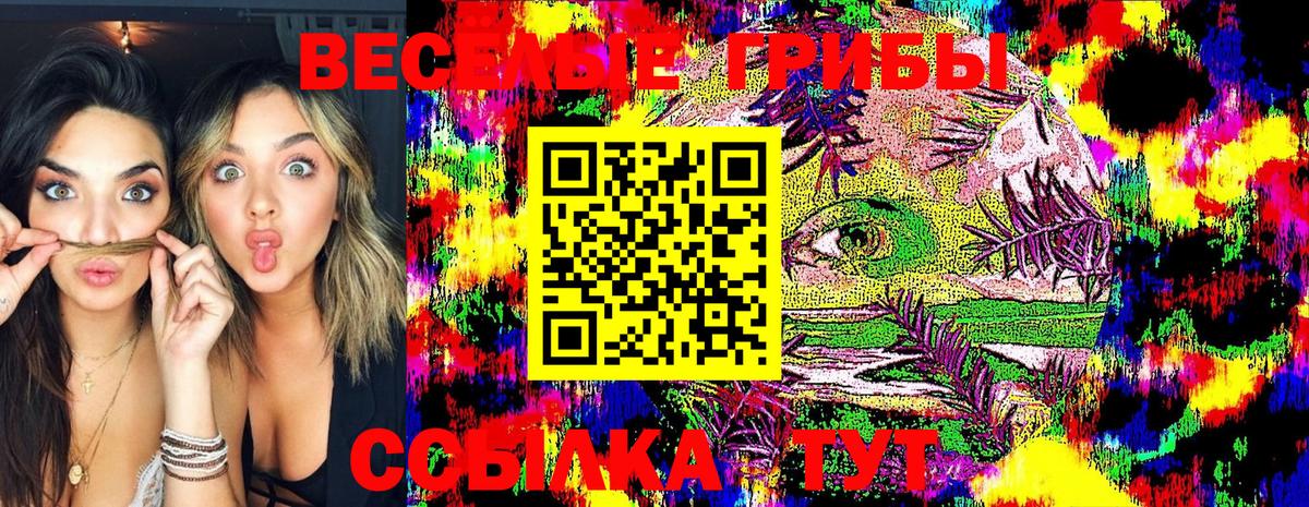 Псилоцибиновые грибы GOLDEN TEACHER Можга