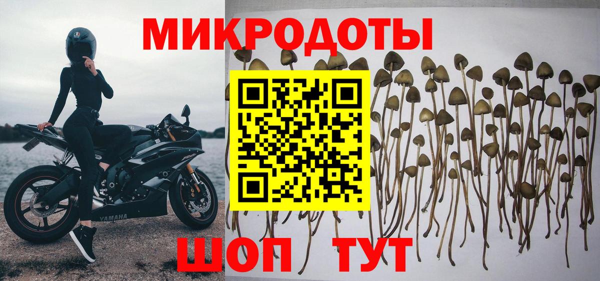 Галлюциногенные грибы Cubensis  Псилоцибиновые грибы Magic Shrooms  Вход с VPN  Можга 